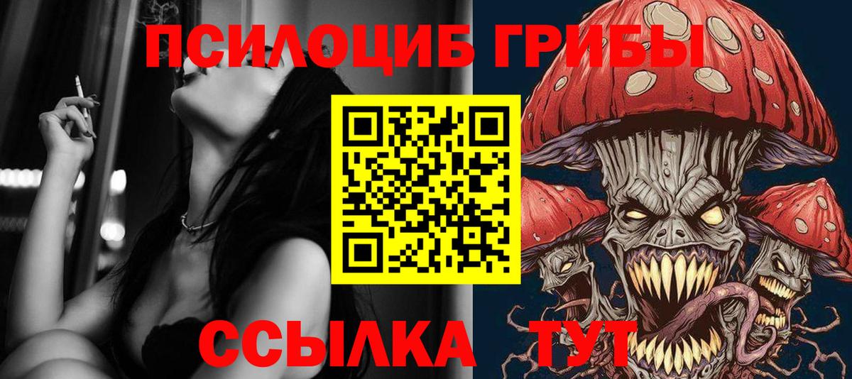 Нурлат  как найти закладки  Вход с VPN  Псилоцибиновые грибы GOLDEN TEACHER 